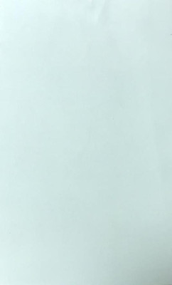 Hemi 80 Gsm Ledger Unruled A4 80 gsm Ledger Paper(Set of 1, Green)