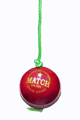 PSE Red Practice Hanging Cricket ball For Bat Knocking Cricket Training Ball(Standard, Pack of 1, Red)