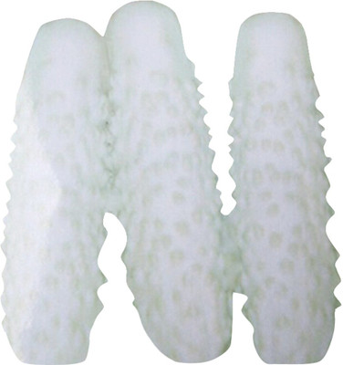 Futaba Balcony Cucumber White - 30 Pcs Seed(30 per packet)
