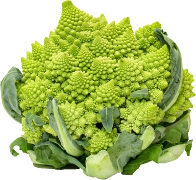 Futaba Pagoda Green Cauliflower Vegetable Seeds-100Pcs by Futaba Seed(100 per packet)