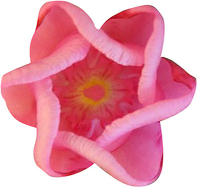 Futaba Holland Daylily Exotic Flower - Bright Pink - 50 Pcs Seed(50 per packet)