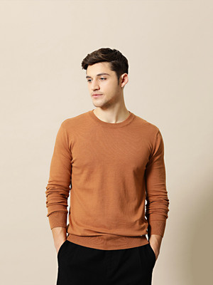 Mr Bowerbird Solid Round Neck Casual Men Brown Sweater