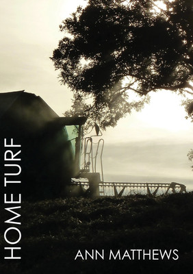 Home Turf(English, Paperback, Matthews Ann)