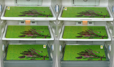 YELLOW WEAVES Fridge Mat(Width: 28 cm, Green)
