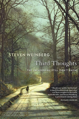 Third Thoughts(English, Paperback, Weinberg Steven)