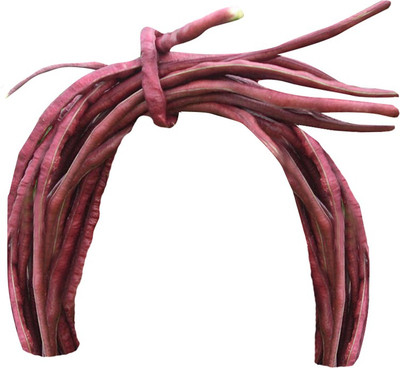 Futaba Red CowPea 10 Pcs Seed(10 per packet)