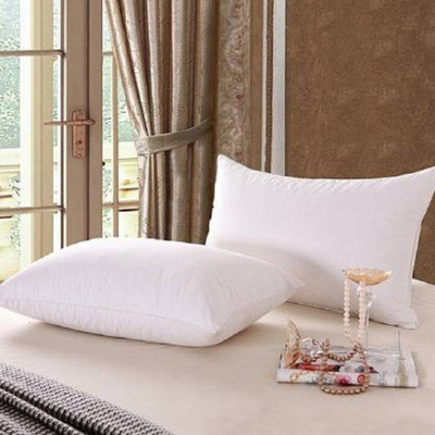 Changers Microbeads Solid Sleeping Pillow Pack of 2(White)