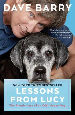 Lessons From Lucy(English, Paperback, Barry Dave)