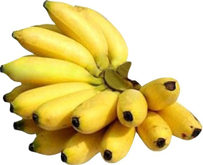 Redoak Dwarf Banana Seeds - 100 Pcs Seed(100 per packet)