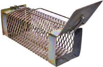 popo Rat, Mouse Trap/Catcher Iron Big - Ultimate Solution to All Rat Problems Live Trap