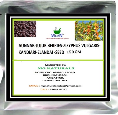 MGBN JUJUBE-INDIAN DATE-(ZIZIPHUS JUJUBA) SEED - 150 GM Seed(150 per packet)