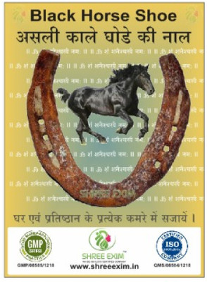 SHREE EXIM Horse Shoe Ring