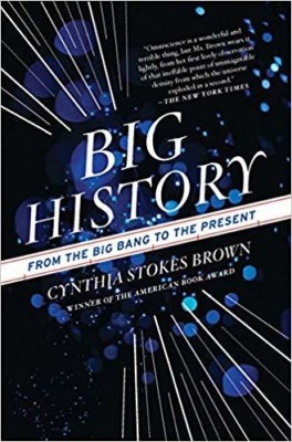 Big History(English, Paperback, Cynthia Stokes Brown)