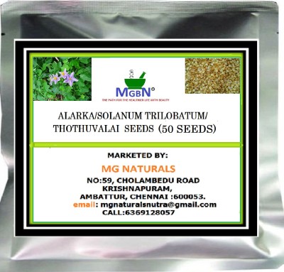 MGBN ALARKA/sOLANUM TRILOBATUM/THOTHUVALAI SEEDS (50 SEEDS) Seed(50 per packet)