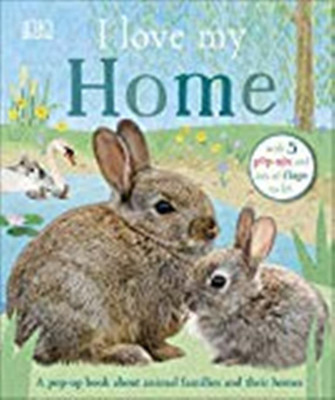 I Love My Home(English, Board book, DK)