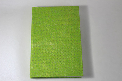 Camlon Exports No A4 Diary Unruled 96 Pages(Green)