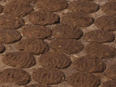 Earth Angels PURE COW DUNG (UPLA) PACK OF 15PCS