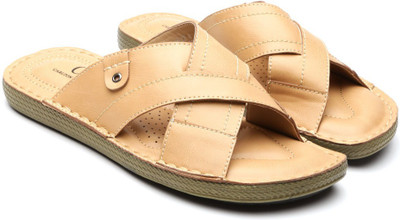 Carlton London Men Beige Sandals