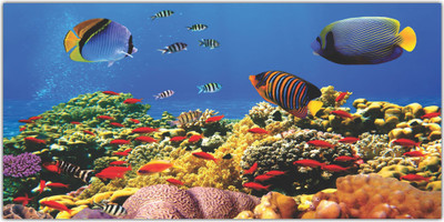 Jump up 60 cm Sea Level Self Adhesive Sticker(Pack of 1)