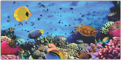 Jump up 60 cm Sea Level Self Adhesive Sticker(Pack of 1)