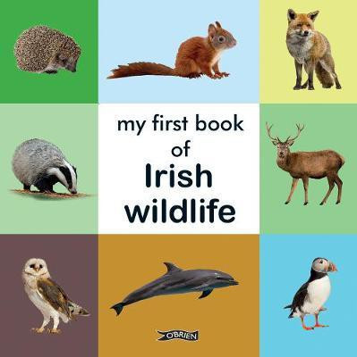My First Book of Irish Wildlife(English, Board book, unknown)