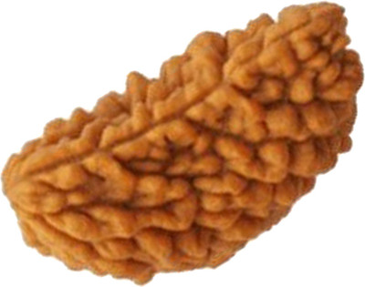 MORMUKUT 1 Mukhi Rudraksha HRC Lab Certified Wood