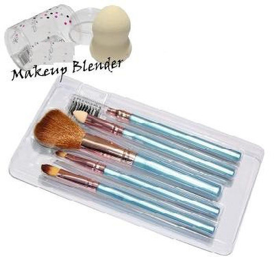 SKINPLUS 5 IN 1 BRUSH WITH 1 SPONGE PUFF(6 Items in the set)
