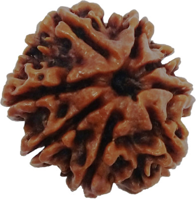 vinayakmoorti Eight Mukhi 8 Mukhi Rudraksha For Childhren Women Man Netural Original Rudraksha Lab Certified Beads Wood Locket