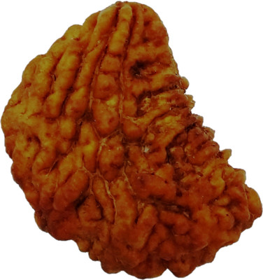 vinayakmoorti One Mukhi 1 Mukhi Rudraksha For Women Man Family Member Netural Original Rudraksha Lab Certified Beads Wood Locket