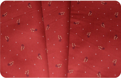 V WALKER'S Pure Cotton Printed Shirt Fabric
