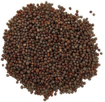 Naturewell BLACK MUSTARD - SARSO KALI - SARSON KAALI - BRASSICA NIGRA - BROWN MUSTARD (100 gram Per pack) Seed(100 per packet)