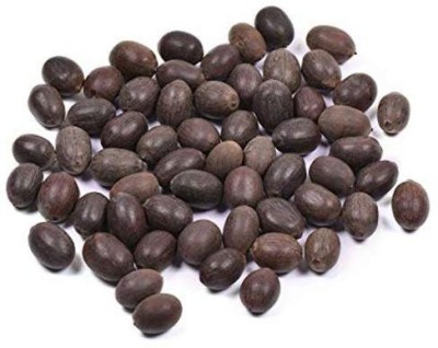 Go Raw KAMAL GATTA - KAMAL BEEJ - LOTUS SEEDS - NELUMBO NUCIFERA (200 gram Per pack) Seed(200 g)