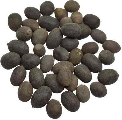 NUTKING Lotus seed Seed(250 per packet)