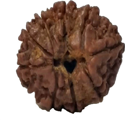 RUDRA UNIVERSE 9 mukhi rudraksha Wood