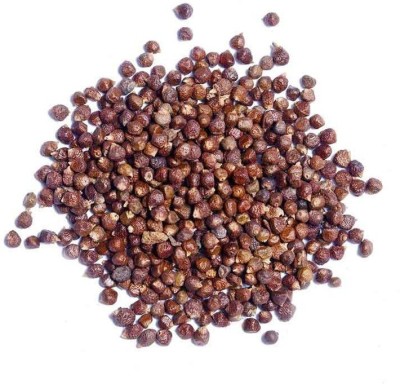 Urban Organic tumbru Seed(500 per packet)