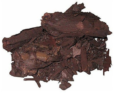 Urban Organic ratanjot root - ratanjyot jadd - jatropha curcas (100 gram per pack) Seed(100 per packet)