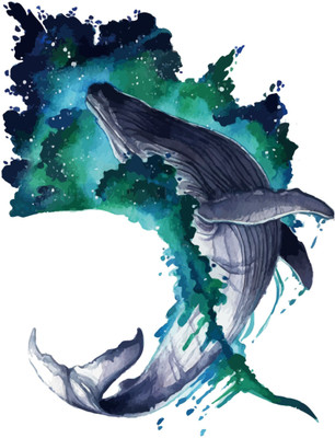 DivineDesigns 53 cm Dolphin Sticker ( Size :- 53 X 66 cm ) Self Adhesive Sticker(Pack of 1)
