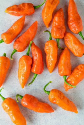 Cloud Farm Chilli Seeds Seed(90 per packet)