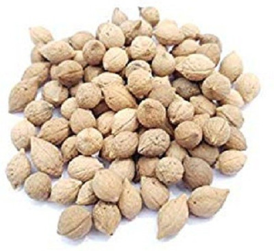 Urban Organic putrajeevak Seed(500 per packet)