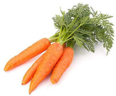 Jioo Organics Carrot Seeds Seed(1 per packet)