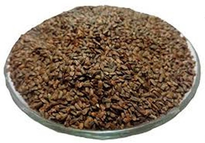 WILD FOREST TALMKHANA Seed(200 per packet)
