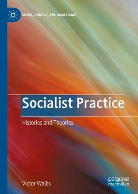 Socialist Practice(English, Hardcover, Wallis Victor)
