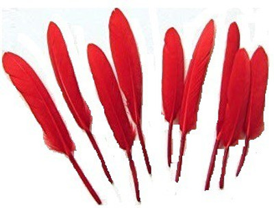 MOREL Pack of 10 Decorative Feathers(7 Synthetic Material)