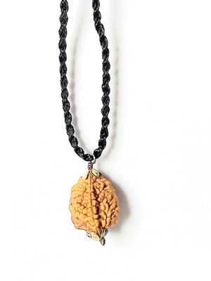 ng gems Nepali Two Face/ 2 Mukhi Rudraksha Pendant With Lab Certificate Wood