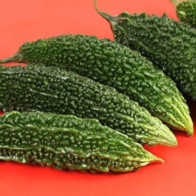 KANAYA Vegetable seed -Bitter Gourd - Karela Seeds F1 Hybrid Seed(5 per packet)