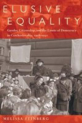 Elusive Equality(English, Paperback, Feinberg Melissa)