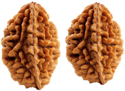 NAKSHATRA JUNCTION 2 Mukhi Oval Shape Lab Certified Rudraksha Pack of Two Wood Pendant