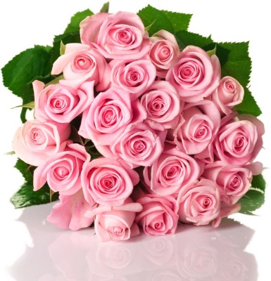 Futaba Pink Rose Seeds - 50 Pcs Seed(50 per packet)