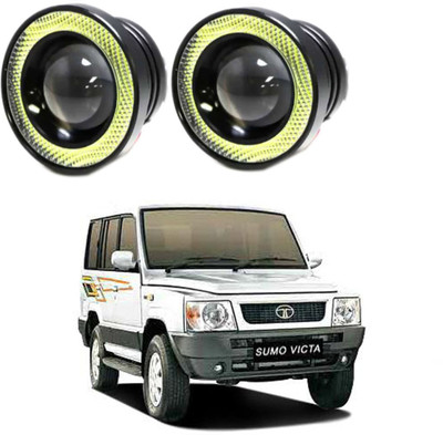 RWT LED Fog Lamp Unit for Tata Victa