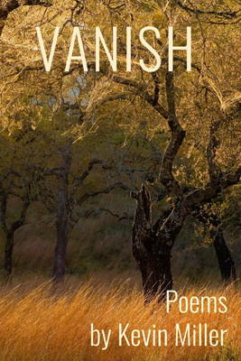 Vanish(English, Paperback, Miller Kevin)